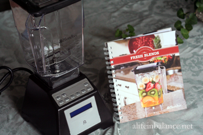 Blendtec blender reviews
